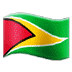 🇬🇾 flag: Guyana display on Samsung